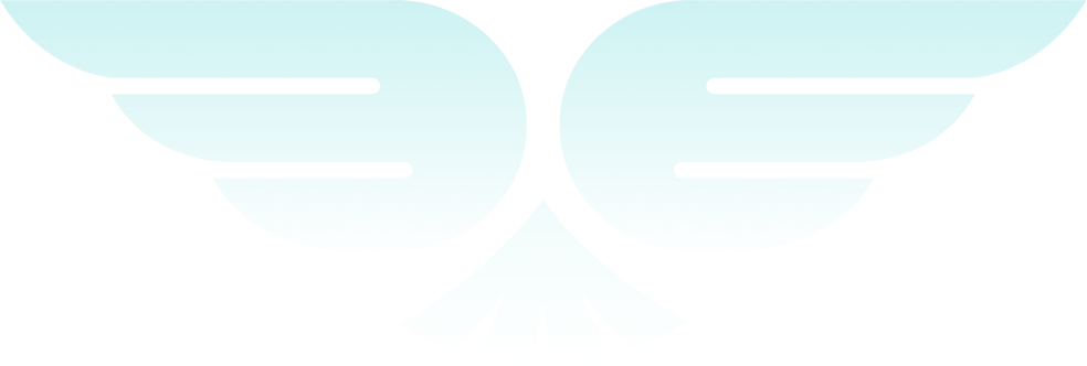 Airport Transfer in Copenhagen